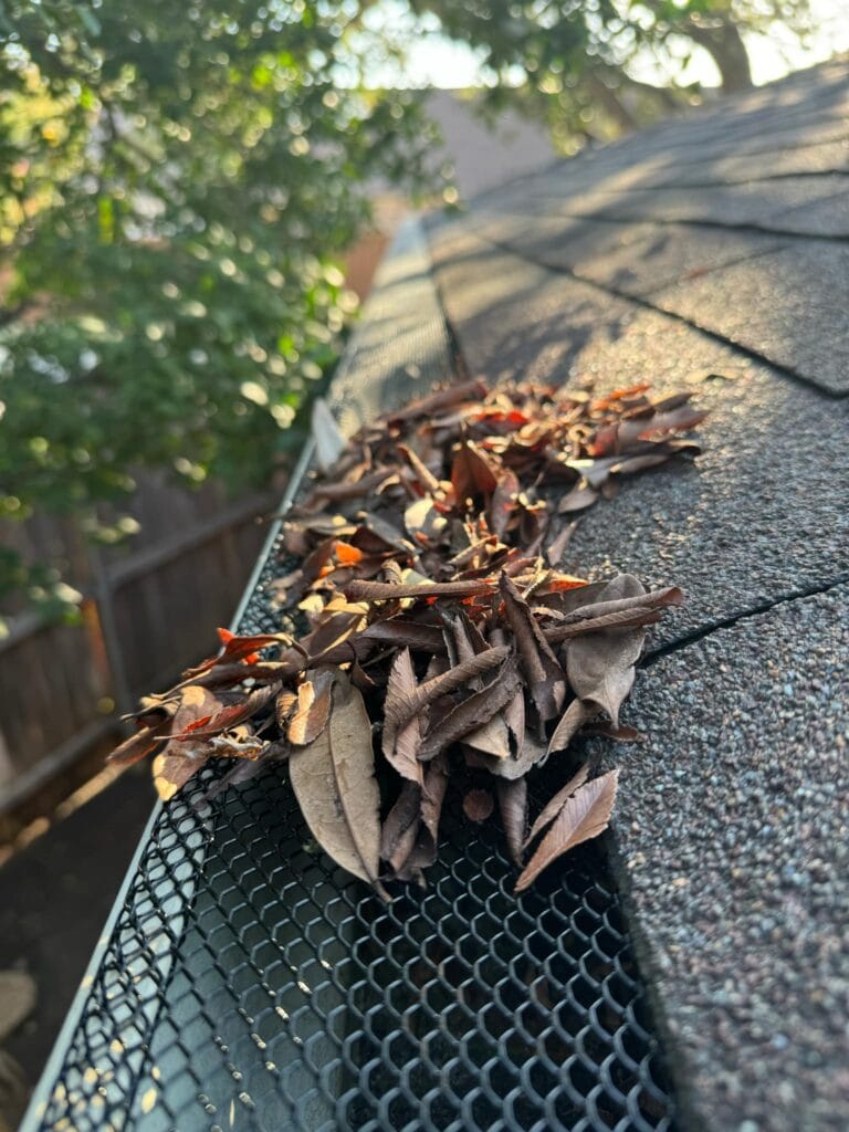 how often should you clean your gutters in Texas