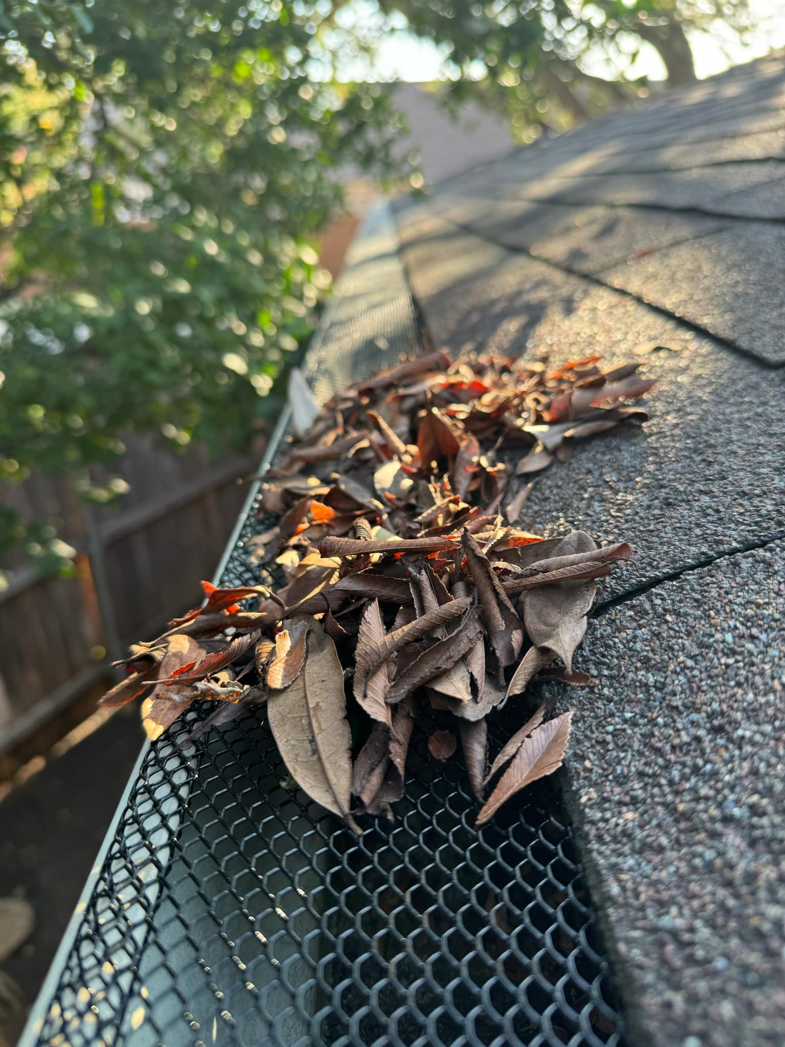 Leaves resting on top of installed leaf guard mesh instead of clogging the gutter below